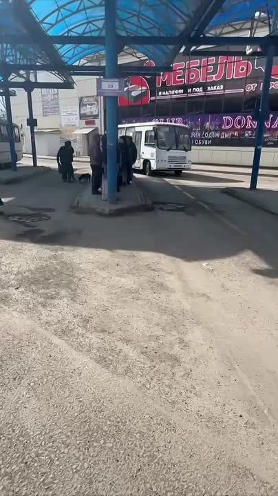 12           ,           