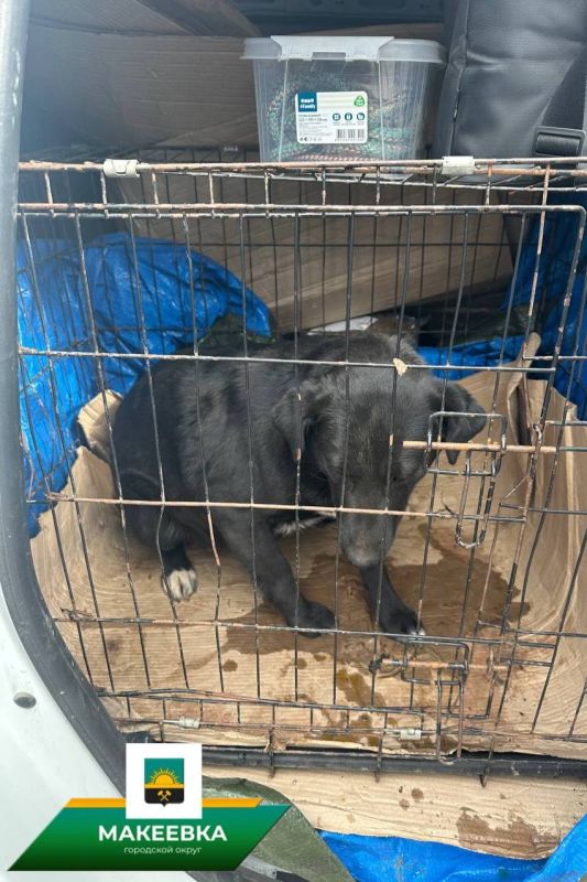 � �������� ������������ ������ �� ������ ������������ ��������