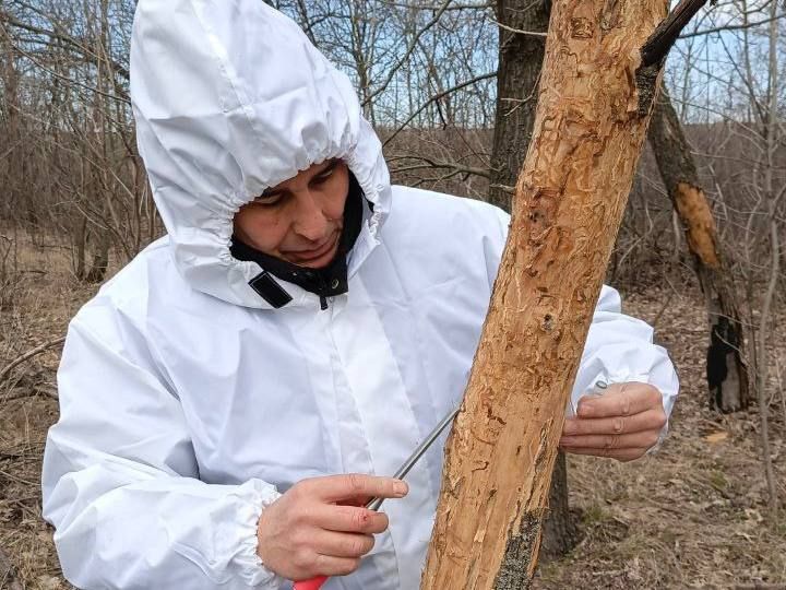 Специалистами отдела надзора в области карантина растений и семеноводства, качества и безопасности зерна по ДНР Управления Россельхознадзора по Донецкой Народной Республике и Луганской Народной Республике 21.03.2025 в рамках... Специалистами отдела надзора в области карантина растений и семеноводства, качества и безопасности зерна по ДНР Управления Россельхознадзора по Донецкой Народной Республике и Луганской Народной Республике 21.03.2025 в рамках...