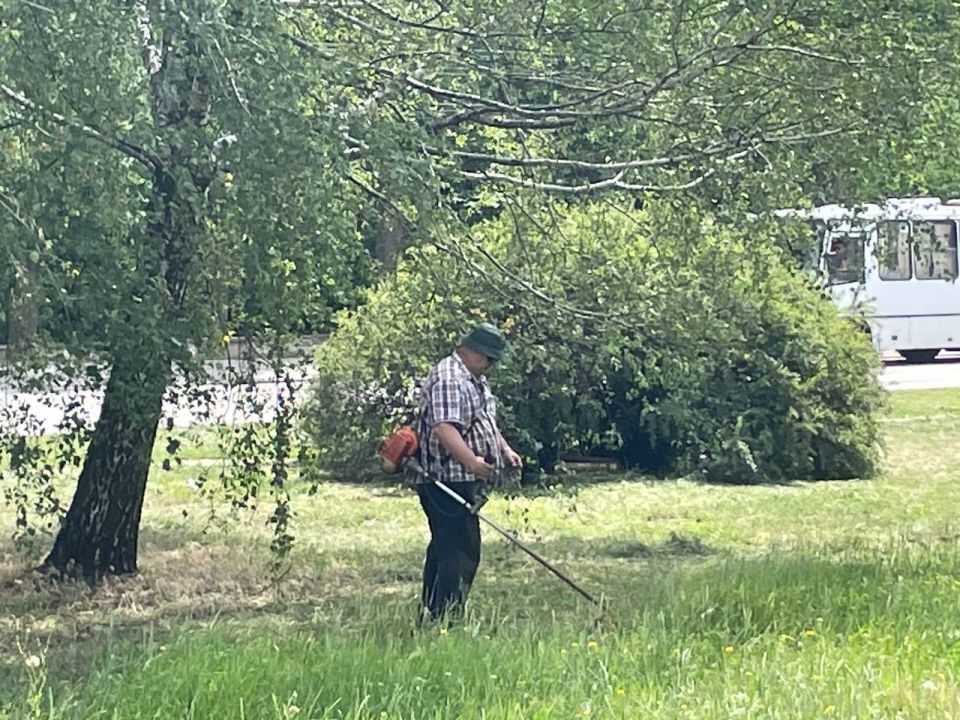 � ��������� ��������������� ������ ������������ ������ �� ������ �����