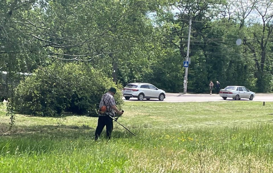 � ��������� ��������������� ������ ������������ ������ �� ������ �����