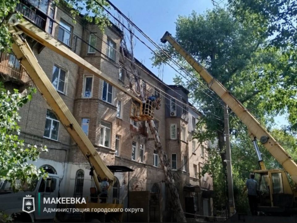 ������������ ��� ��� ������������ ��������� ������: