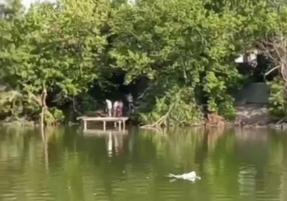  ,          