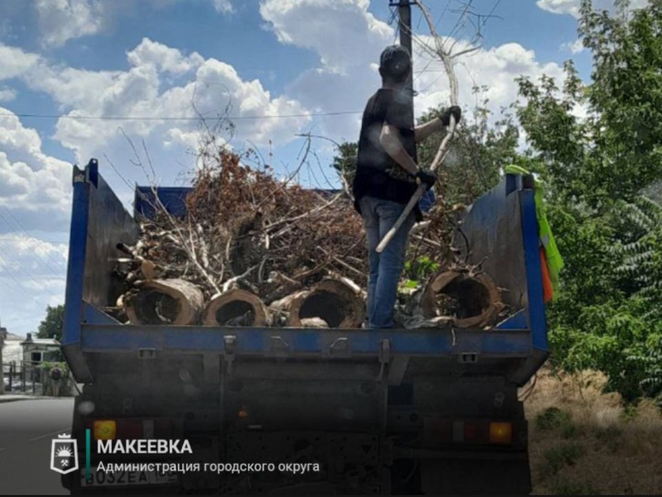 Сотрудниками МУП АГМ «Перспектива» выполнены работы: Сотрудниками МУП АГМ «Перспектива» выполнены работы: