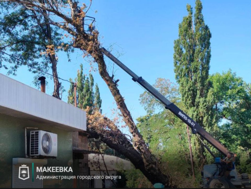 Сотрудниками МУП АГМ «Перспектива» выполнены работы: Сотрудниками МУП АГМ «Перспектива» выполнены работы: