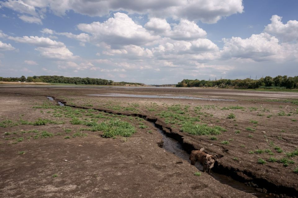 Денис Григорюк: Засуха в Донбассе. Фоторепортаж: Ханженковское водохранилище, питающее города в ДНР водой, обмелело Денис Григорюк: Засуха в Донбассе. Фоторепортаж: Ханженковское водохранилище, питающее города в ДНР водой, обмелело