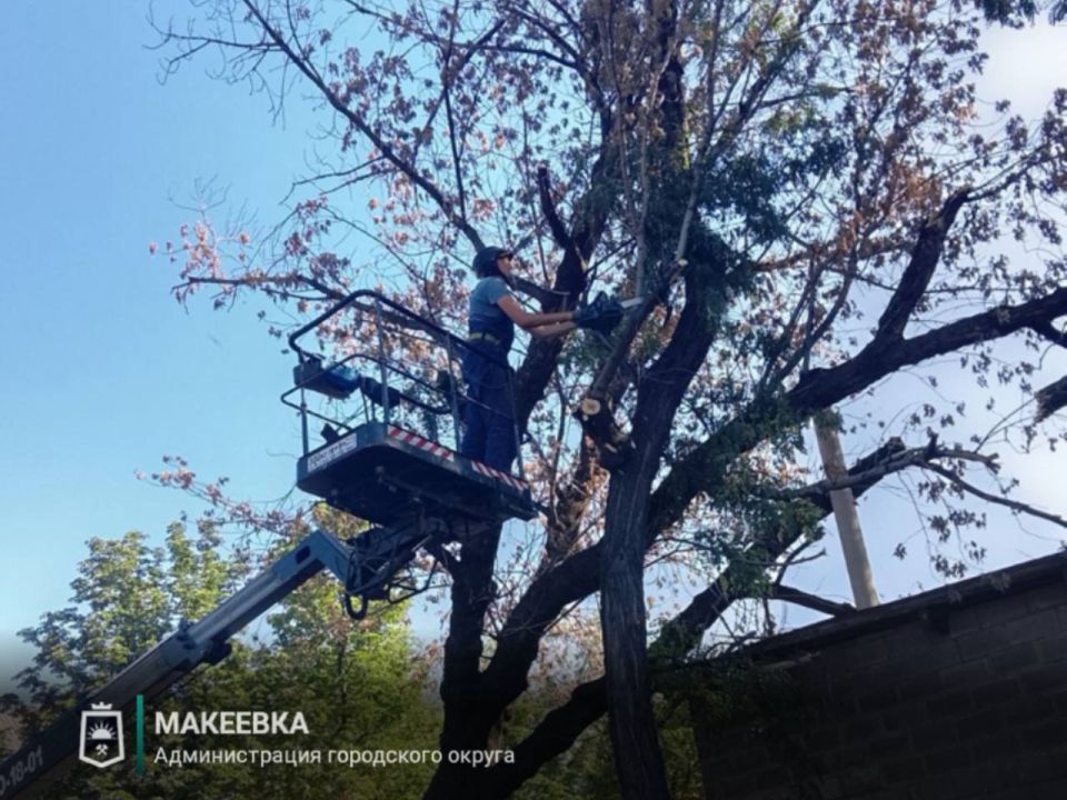 Сотрудниками МУП АГМ «Перспектива» выполнены работы: Сотрудниками МУП АГМ «Перспектива» выполнены работы: