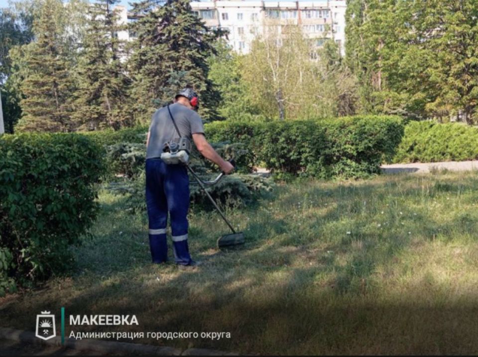 В Макеевке ведётся активная работа по покосу карантинных трав, в том числе на придомовых территориях