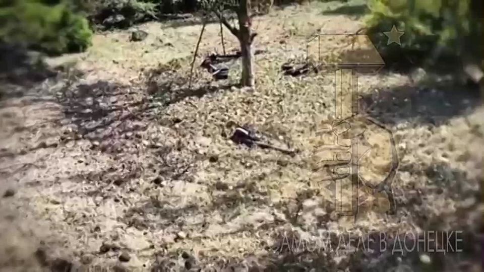 Согласно информации, предоставленной УФСБ России по ДНР, в течение недели было зафиксировано и нейтрализовано значительное количество беспилотных летательных аппаратов над территориями Донецка и Макеевки — 504 единицы