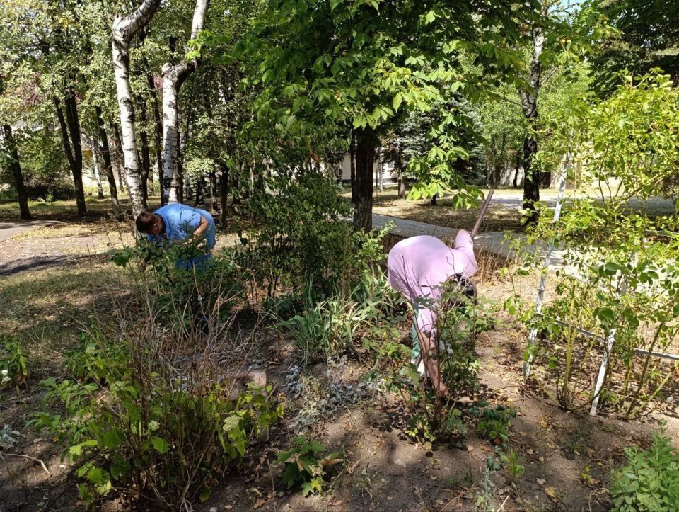 В Кировском внутригородском районе продолжаются субботники В Кировском внутригородском районе продолжаются субботники