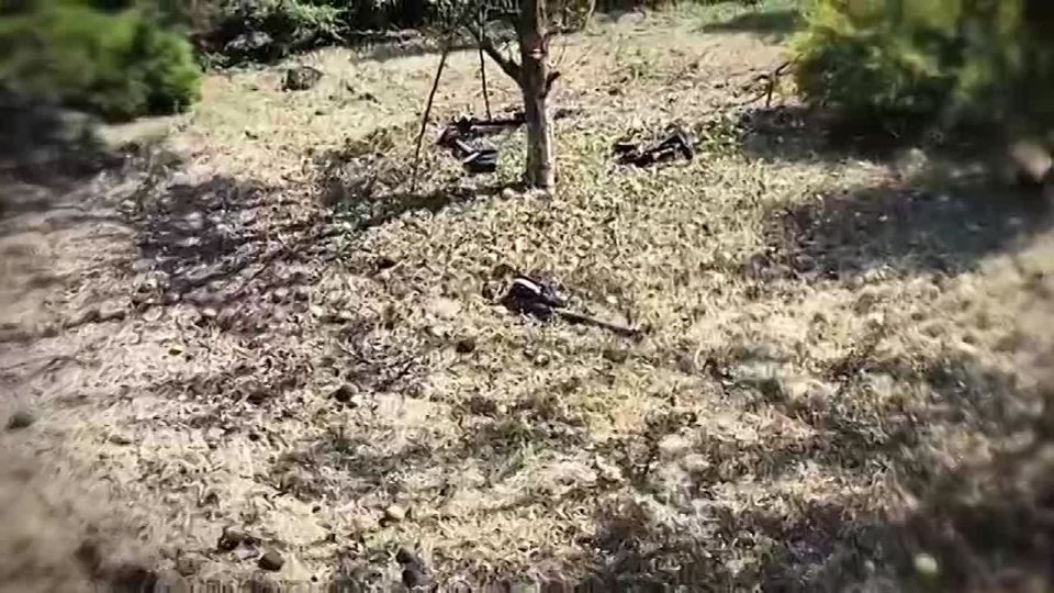 За неделю перехвачен 821 вражеский БПЛА