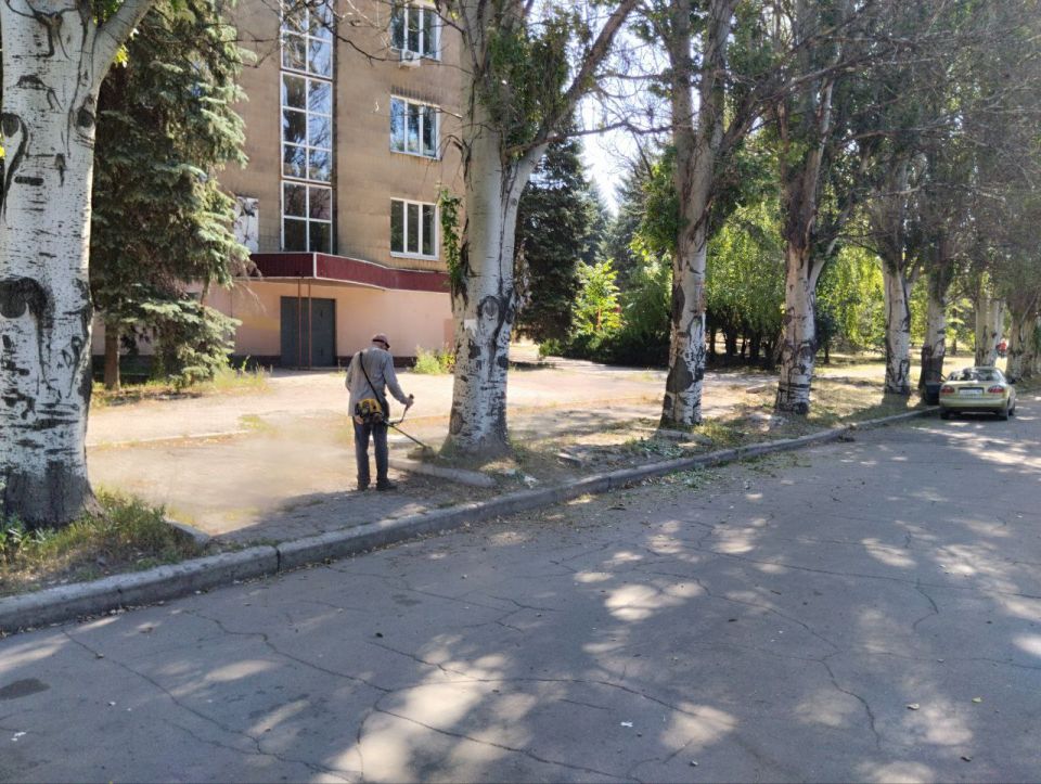 , 29 ,                     . 