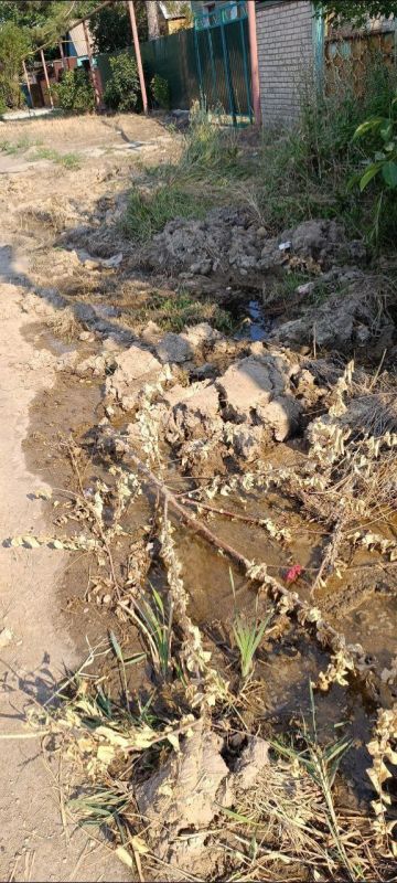 Парламентарии решают проблемы оперативно и на местах Парламентарии решают проблемы оперативно и на местах