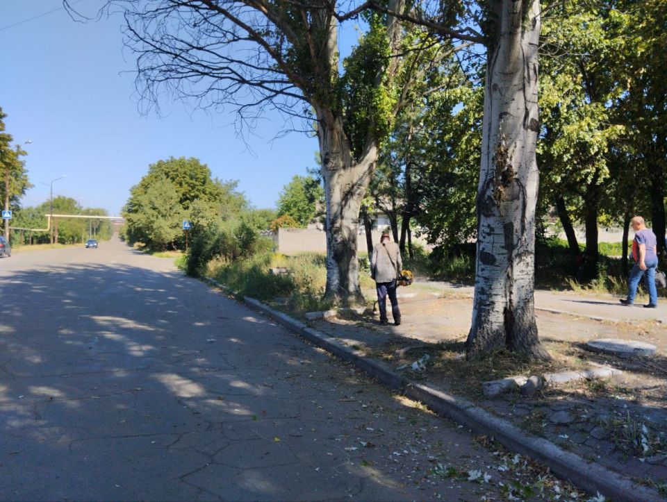 , 29 ,                     . 