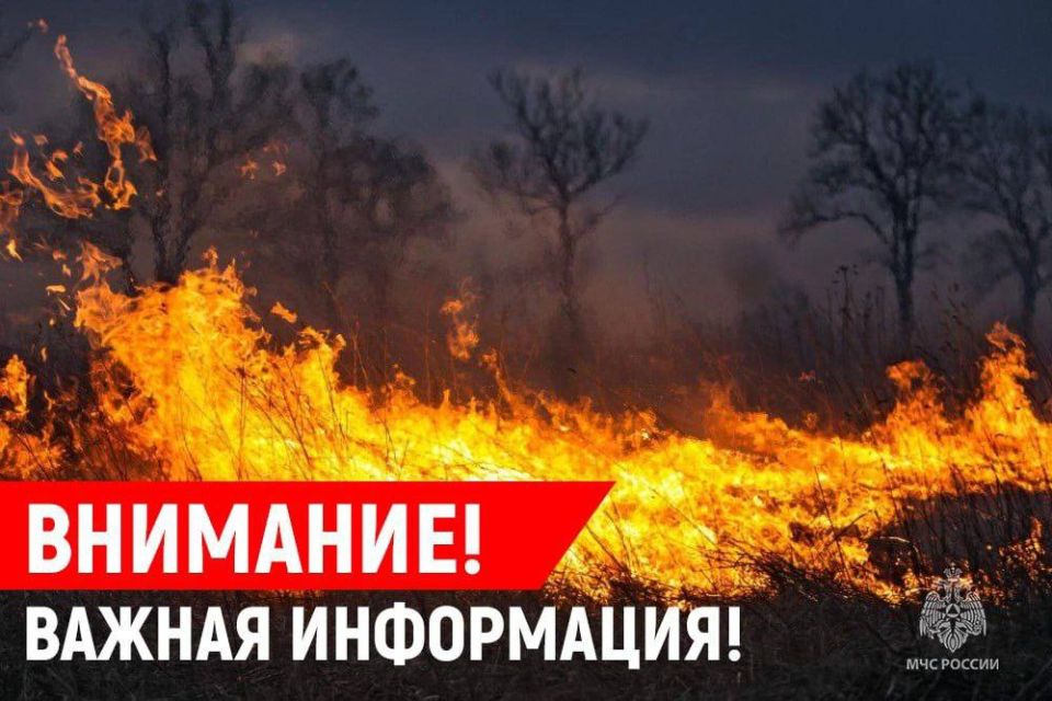 Чрезвычайная пожароопасность: сотрудники МЧС России продолжают борьбу со стихией