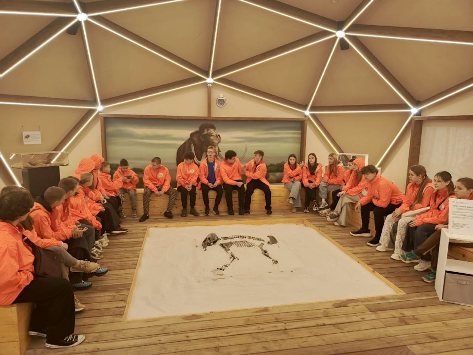 , 29  2025 , ,        ,       