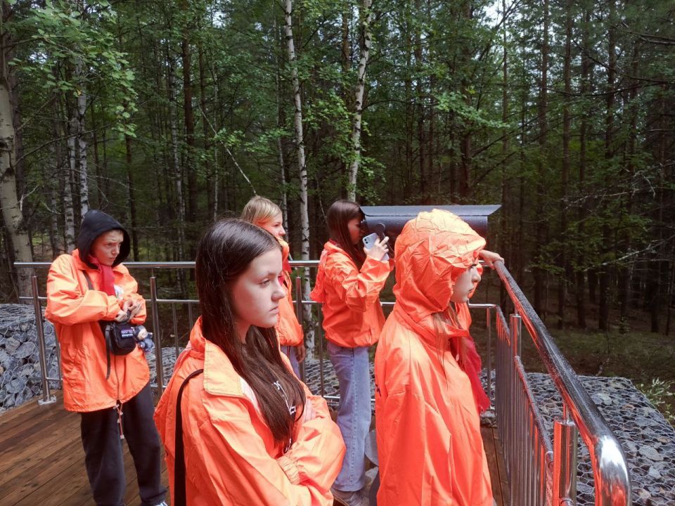 , 29  2025 , ,        ,       