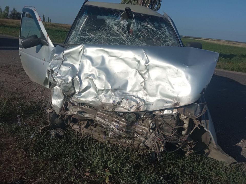 Полицейские устанавливают обстоятельства ДТП с участием нетрезвого водителя Полицейские устанавливают обстоятельства ДТП с участием нетрезвого водителя