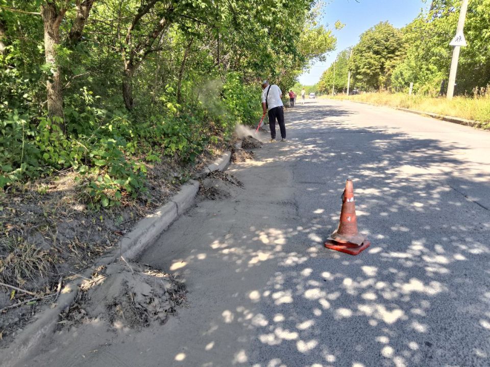 31 ,                           . 