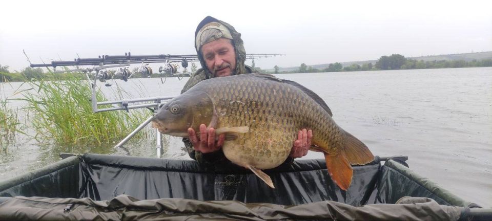  : #.       ,      ,    -