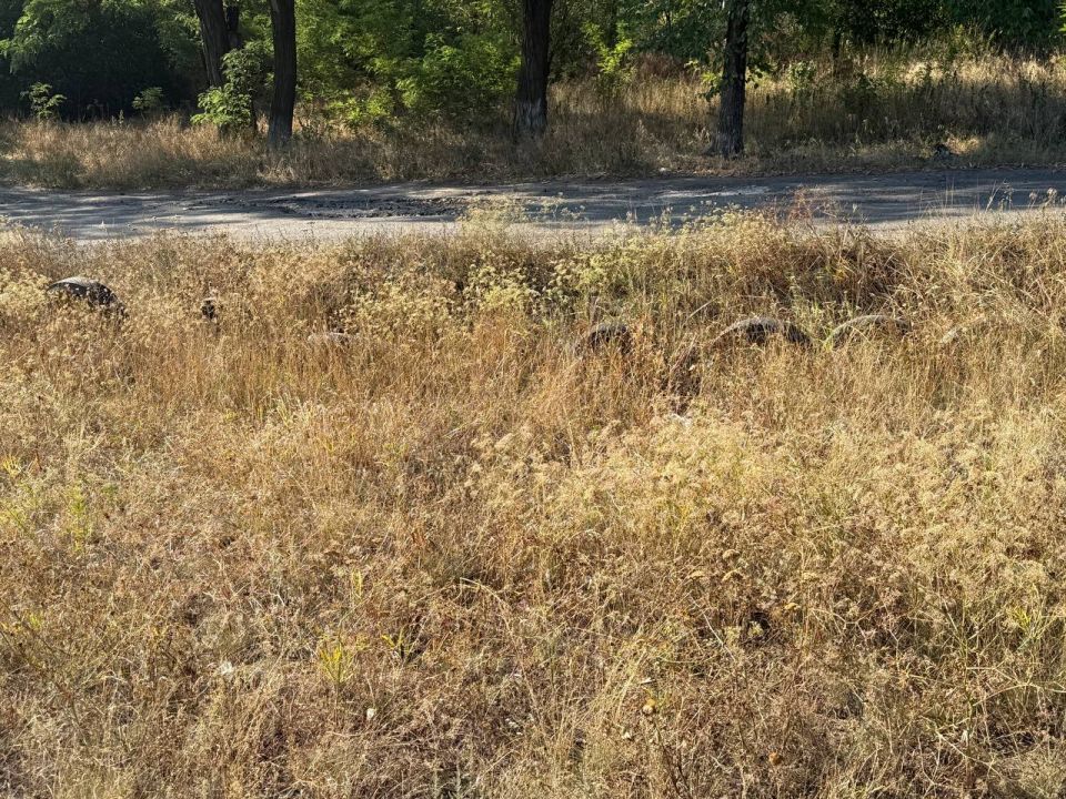 , 1 ,     ,         .   . 