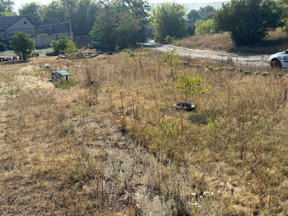 , 1 ,     ,         .   . 