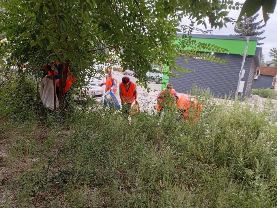          82-       -      ,    ...