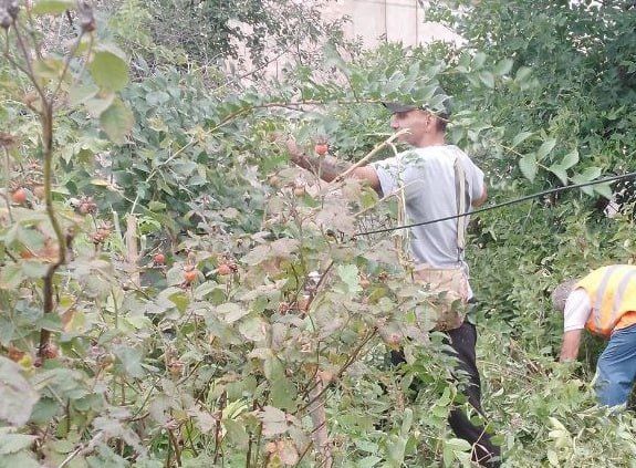 С целью наведения надлежащего санитарного порядка в преддверии празднования 82-й годовщины освобождения Макеевки и Донбасса от немецко-фашистских захватчиков и Дня города Макеевка предприятия, организации и учреждения района... С целью наведения надлежащего санитарного порядка в преддверии празднования 82-й годовщины освобождения Макеевки и Донбасса от немецко-фашистских захватчиков и Дня города Макеевка предприятия, организации и учреждения района...