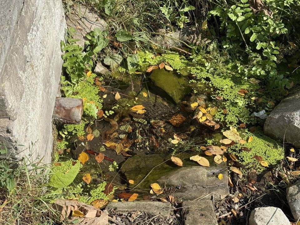 Алексей Боршош вновь проявляет ответственность, неравнодушие и заботу о своем городе Алексей Боршош вновь проявляет ответственность, неравнодушие и заботу о своем городе