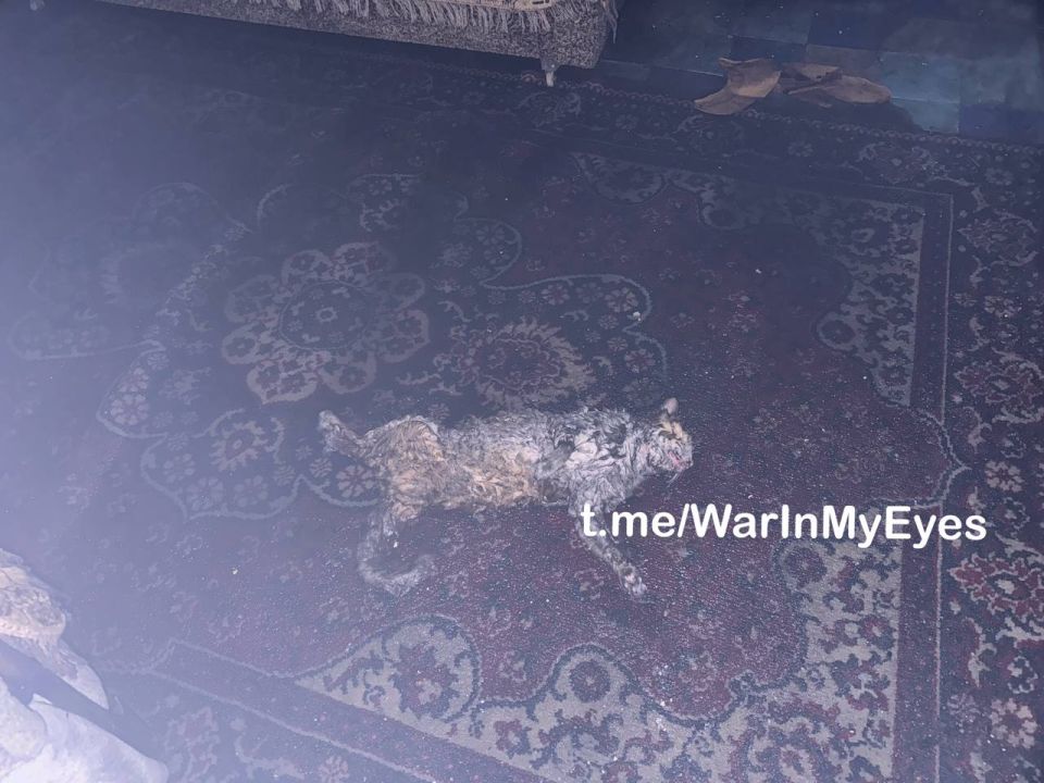 18+.            ,       ,   6 