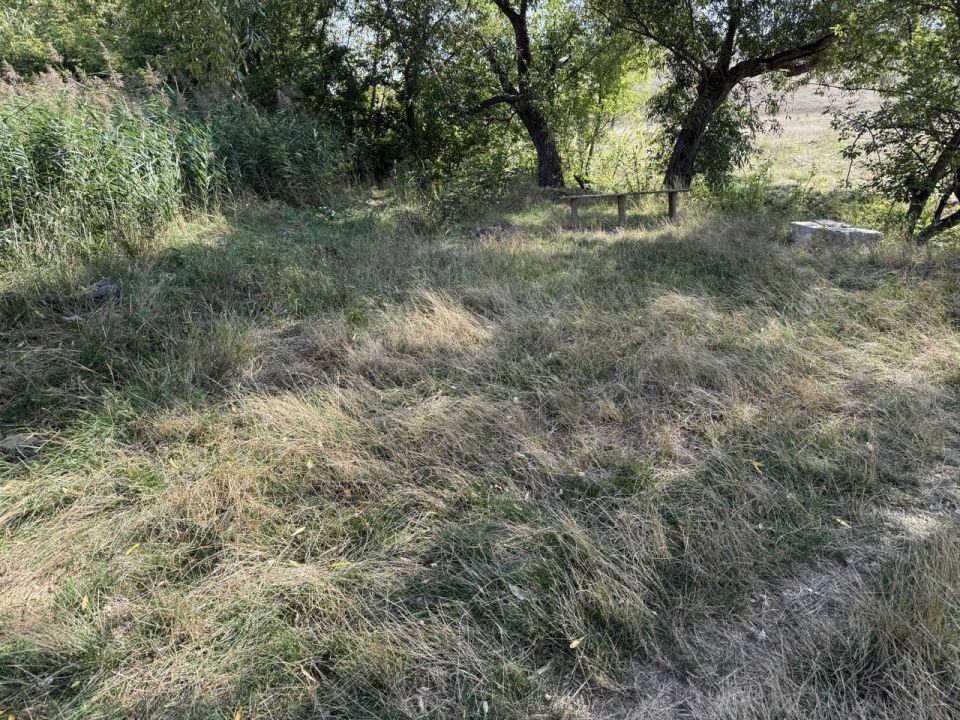 Алексей Боршош вновь проявляет ответственность, неравнодушие и заботу о своем городе Алексей Боршош вновь проявляет ответственность, неравнодушие и заботу о своем городе