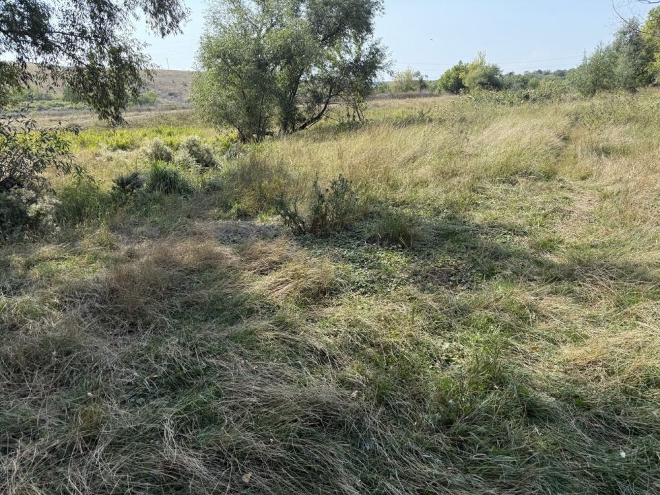 Алексей Боршош вновь проявляет ответственность, неравнодушие и заботу о своем городе Алексей Боршош вновь проявляет ответственность, неравнодушие и заботу о своем городе