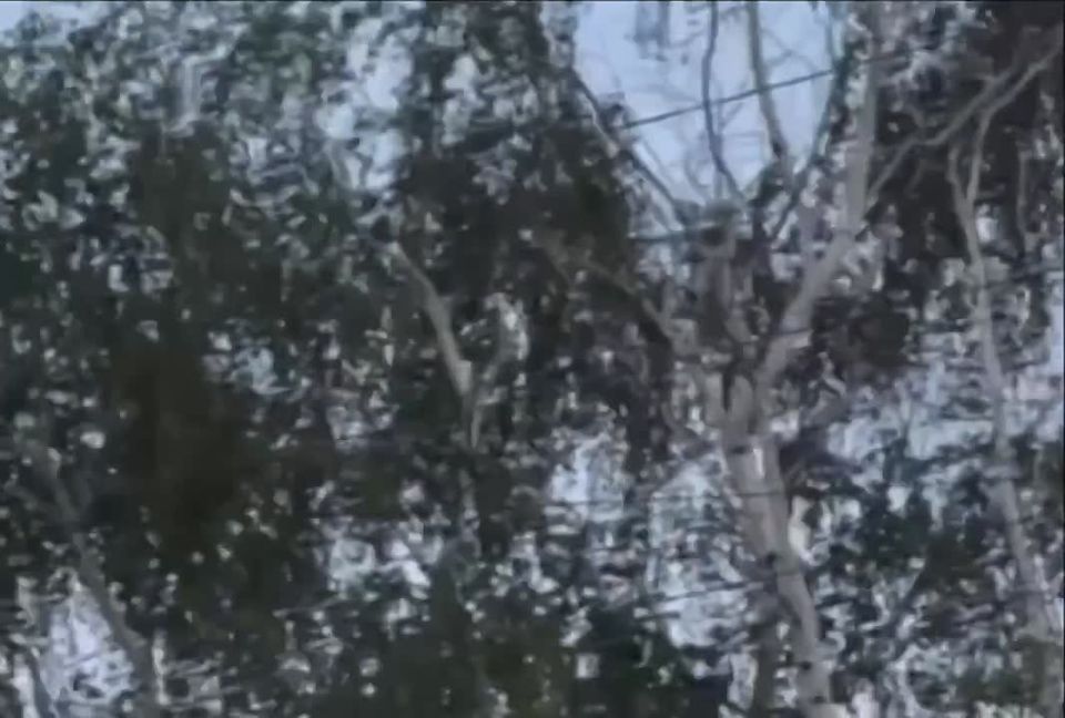 Враг атаковал не только Донецк, но и Макеевку