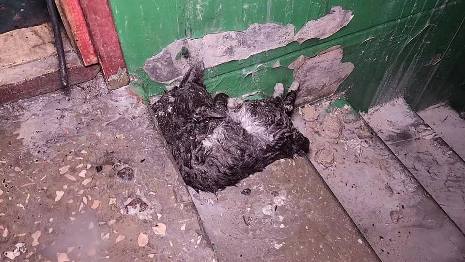 Четыре квартиры уничтожены из-за вчерашнего обстрела Макеевки