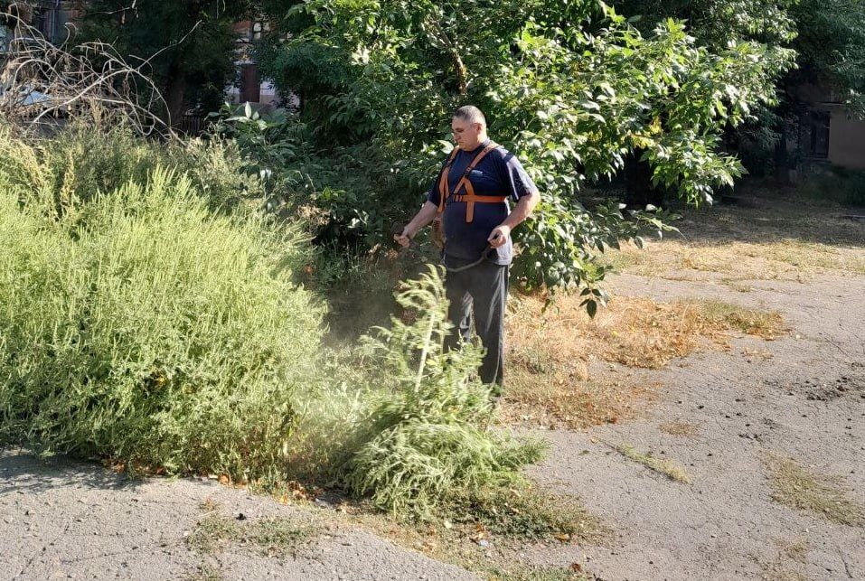 9 сентября, в Кировском внутригородском районе города Макеевки продолжаются работы по покосу сорных и карантинных трав