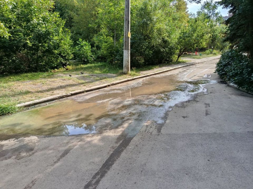 Депутаты Народного Совета: ежедневная борьба за воду Депутаты Народного Совета: ежедневная борьба за воду