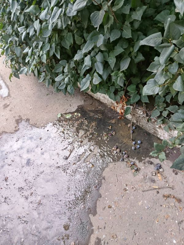 Депутаты Народного Совета: ежедневная борьба за воду Депутаты Народного Совета: ежедневная борьба за воду