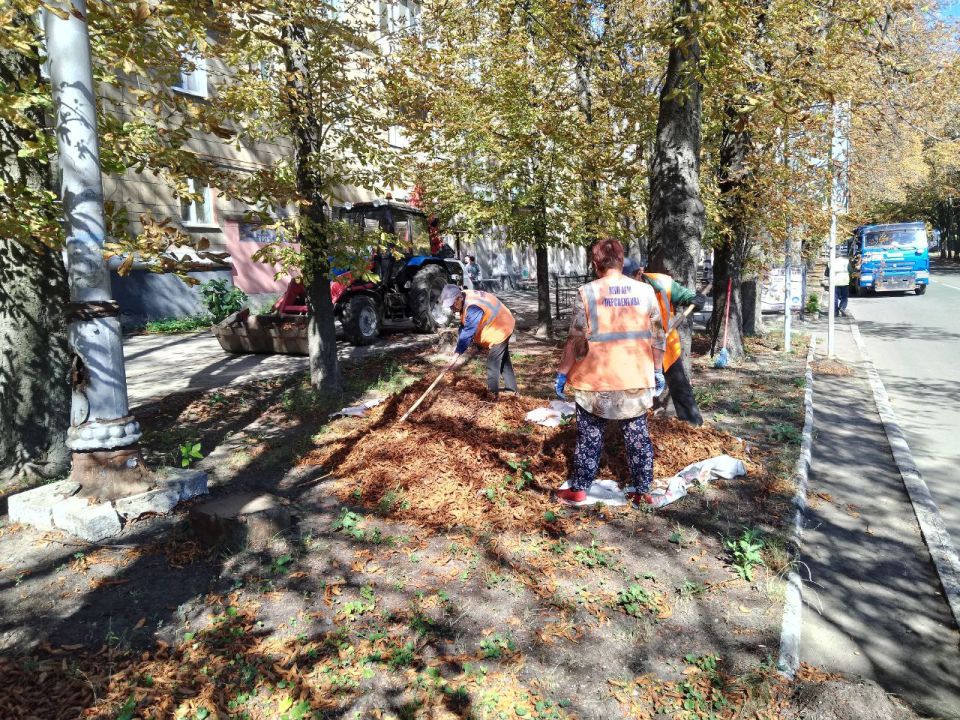 , 11 ,                    . 