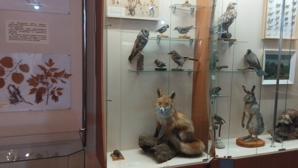 #ЕРДНР #ЕРМакеевка #ЕР80 #СоюзЖенщинРоссии #ЕРДНР #ЕРМакеевка #ЕР80 #СоюзЖенщинРоссии