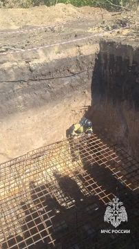 Застряла между стеной и арматурой: сотрудники МЧС спасли собаку из 10-метровой ямы