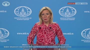 Мария Захарова: Киевский неонацистский режим не прекращает террористические атаки против мирного населения и гражданских объектов