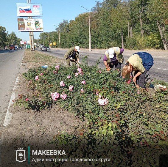 Сотрудниками МУП АГМ «Перспектива» выполнены работы: Сотрудниками МУП АГМ «Перспектива» выполнены работы: