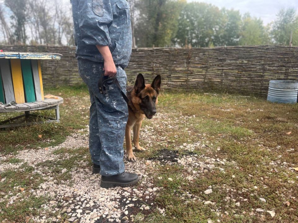 ��������������� � ������ � ���������� �����!