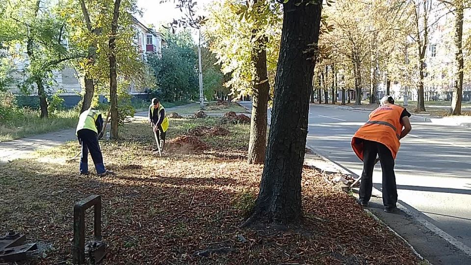 Сегодня, 17 сентября, с целью приведения территории в надлежащее санитарное состояние силами МУП АГМ «Перспектива» продолжаются работы по уборке опавшей листвы по ул. Депутатской