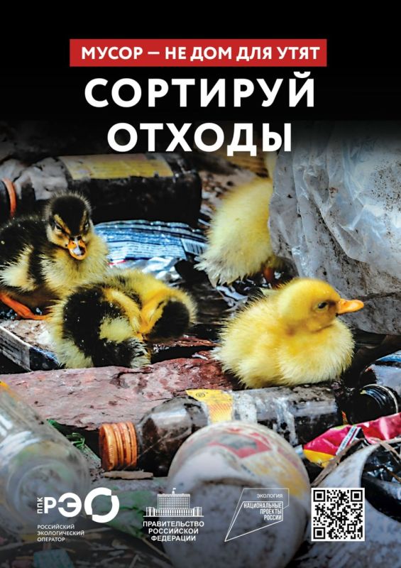 Зачем сортировать мусор: какова польза от раздельного сбора?