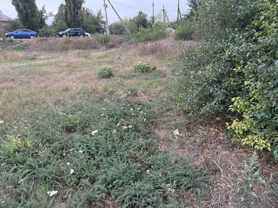 Индивидуальный предприниматель Алексей Боршош оперативно откликнулся на просьбу жителей произвести покос сорных и карантинных трав и привести в надлежащее санитарное состояние территорию Зайцевой криницы пгт Ясиновка