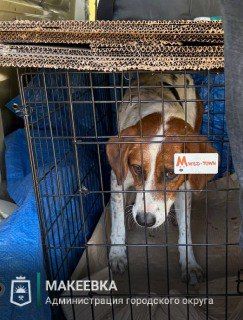 � �������� ������������ ����� ������������ �����