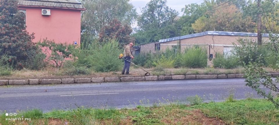 Сегодня, 19 сентября, в Кировском внутригородском районе города Макеевки продолжаются работы по покосу сорных и карантинных трав