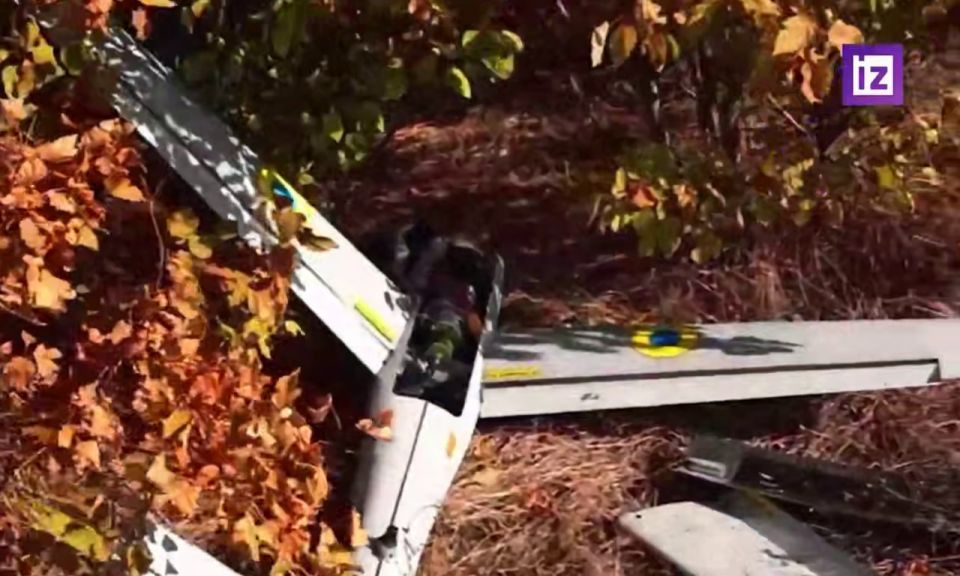 ����� �������� � ����� ����� �� 7 ����