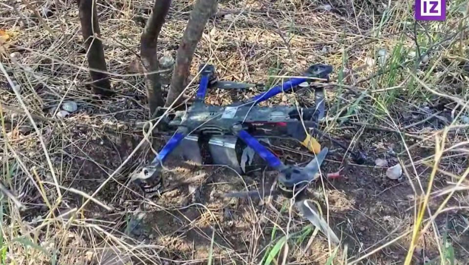 ����� �������� � ����� ����� �� 7 ����